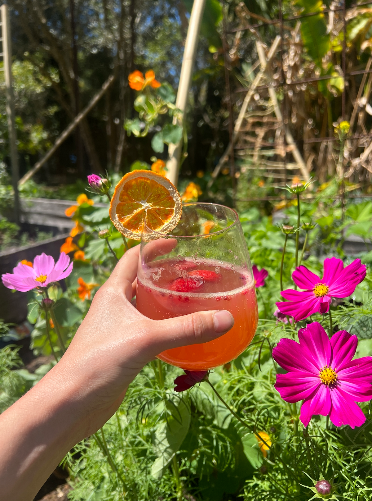 Summer Shrub Spritzah with Organic Dehydrated Fruit