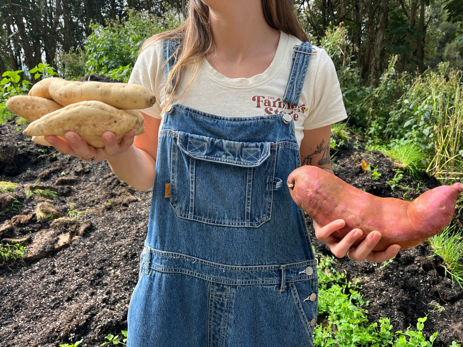 Guide To The Different Types Of Organic Sweet Potatoes