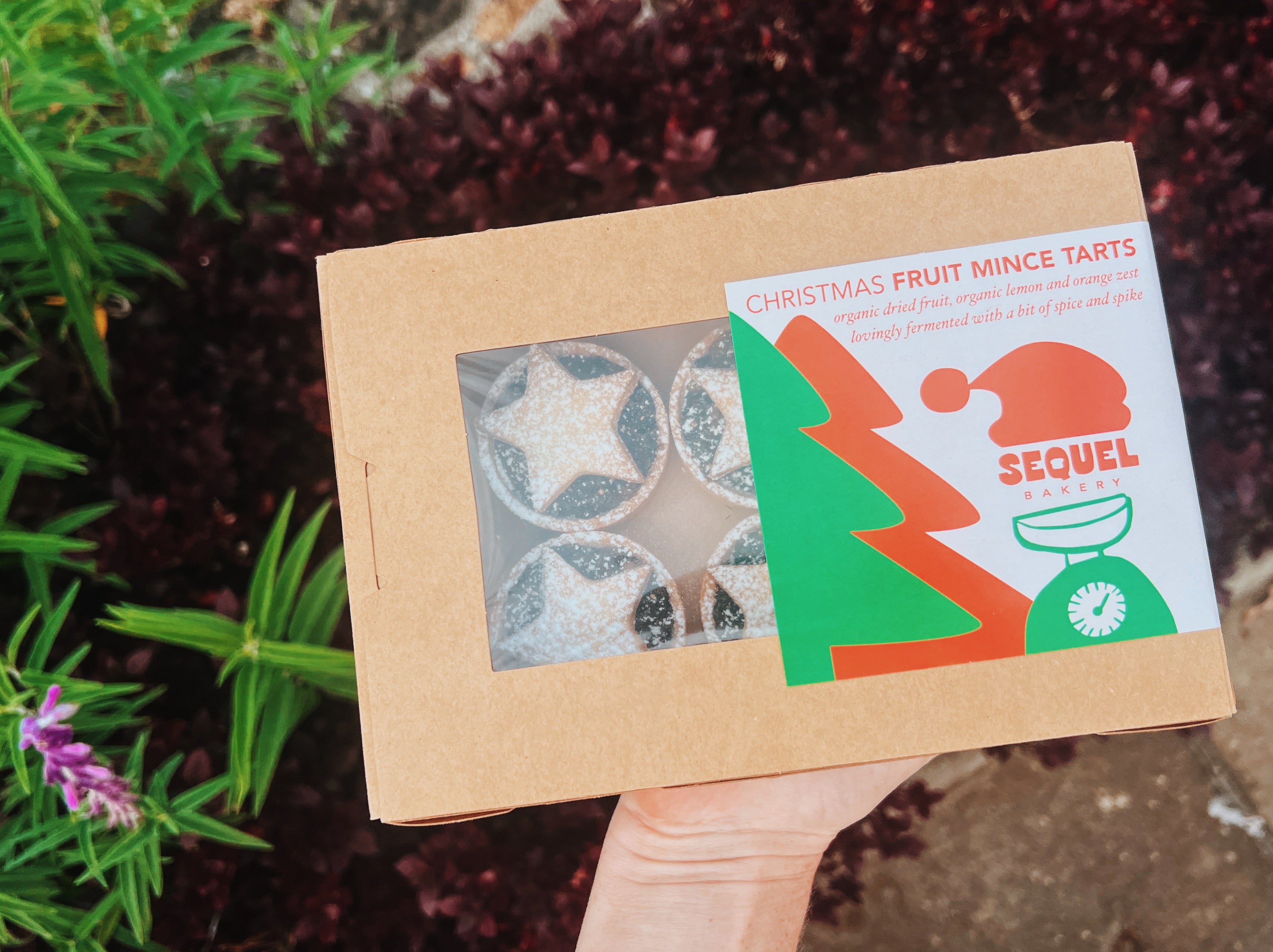 Sequel Christmas Mince Tarts Boxed Pack- *POPULAR LAST XMAS*