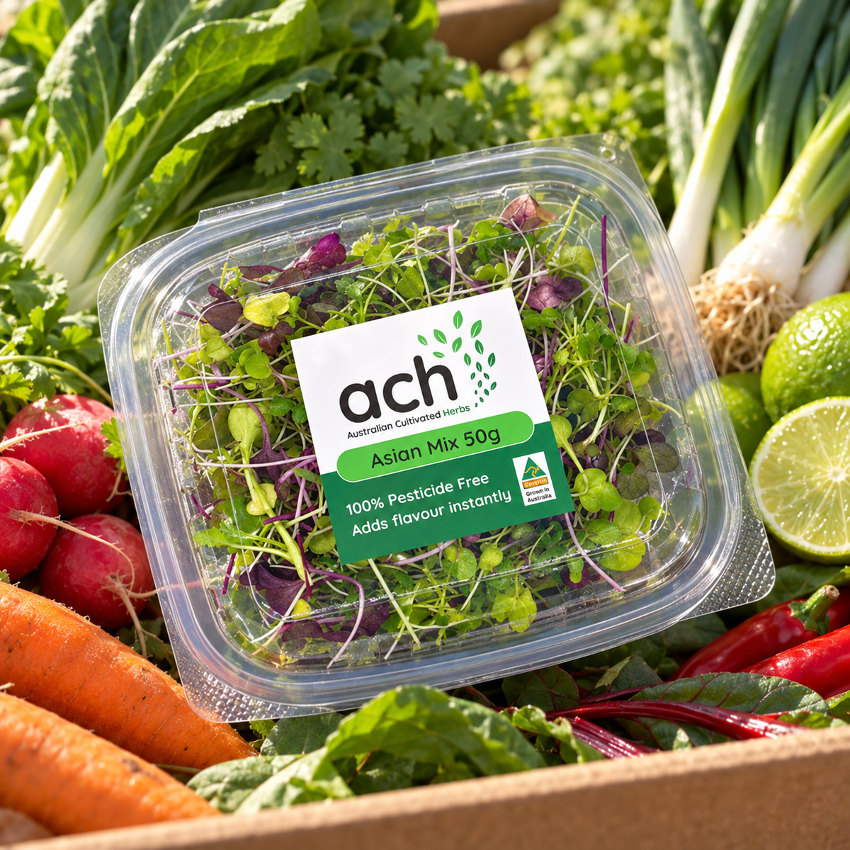 Micro Mixed Herbs ASIAN (NEW)- Australian Cultivated Herbs 50grams (Copy)