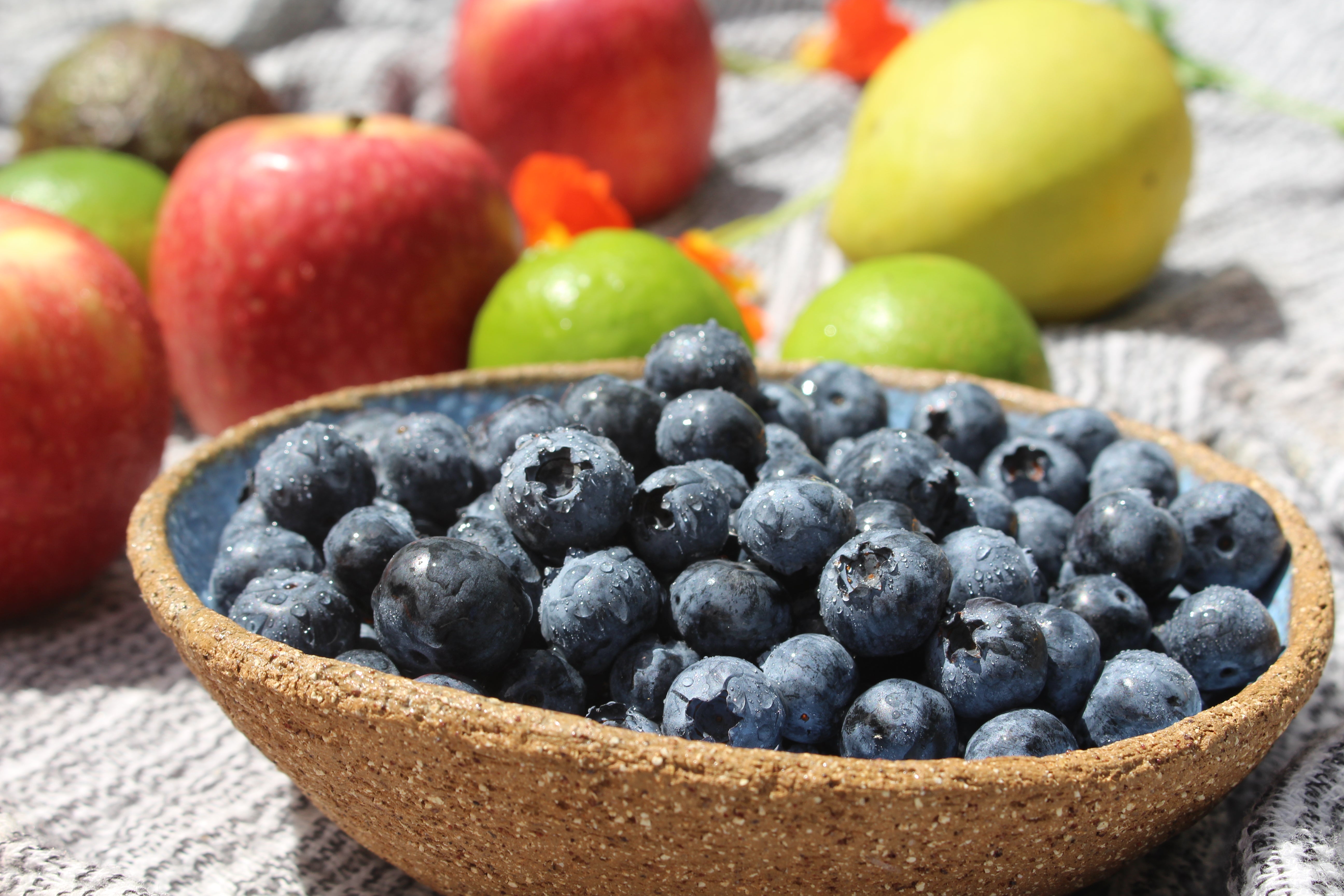 - Blueberries 180g *ARE BACK * - hand picked local organically grown blueberries