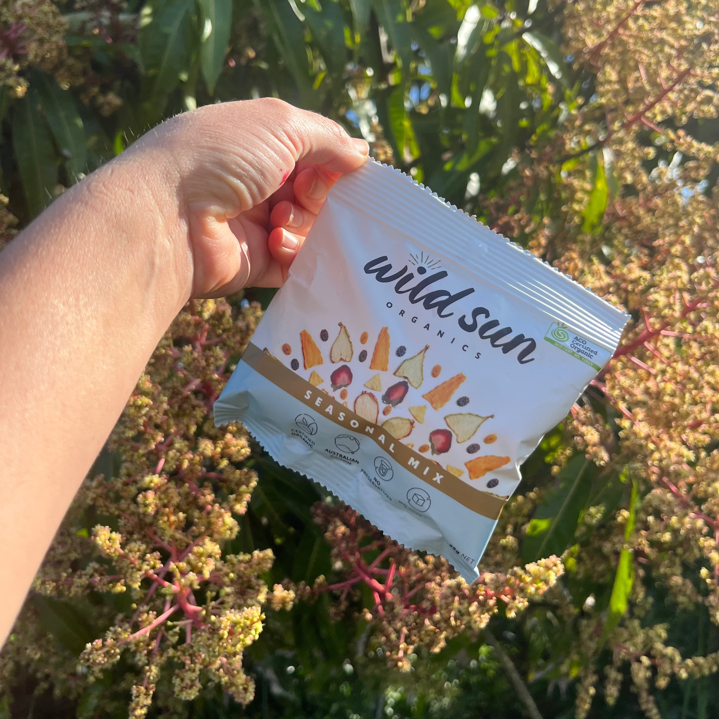 Wild Sun Organics Seasonal Dried Fruit Mix 25g