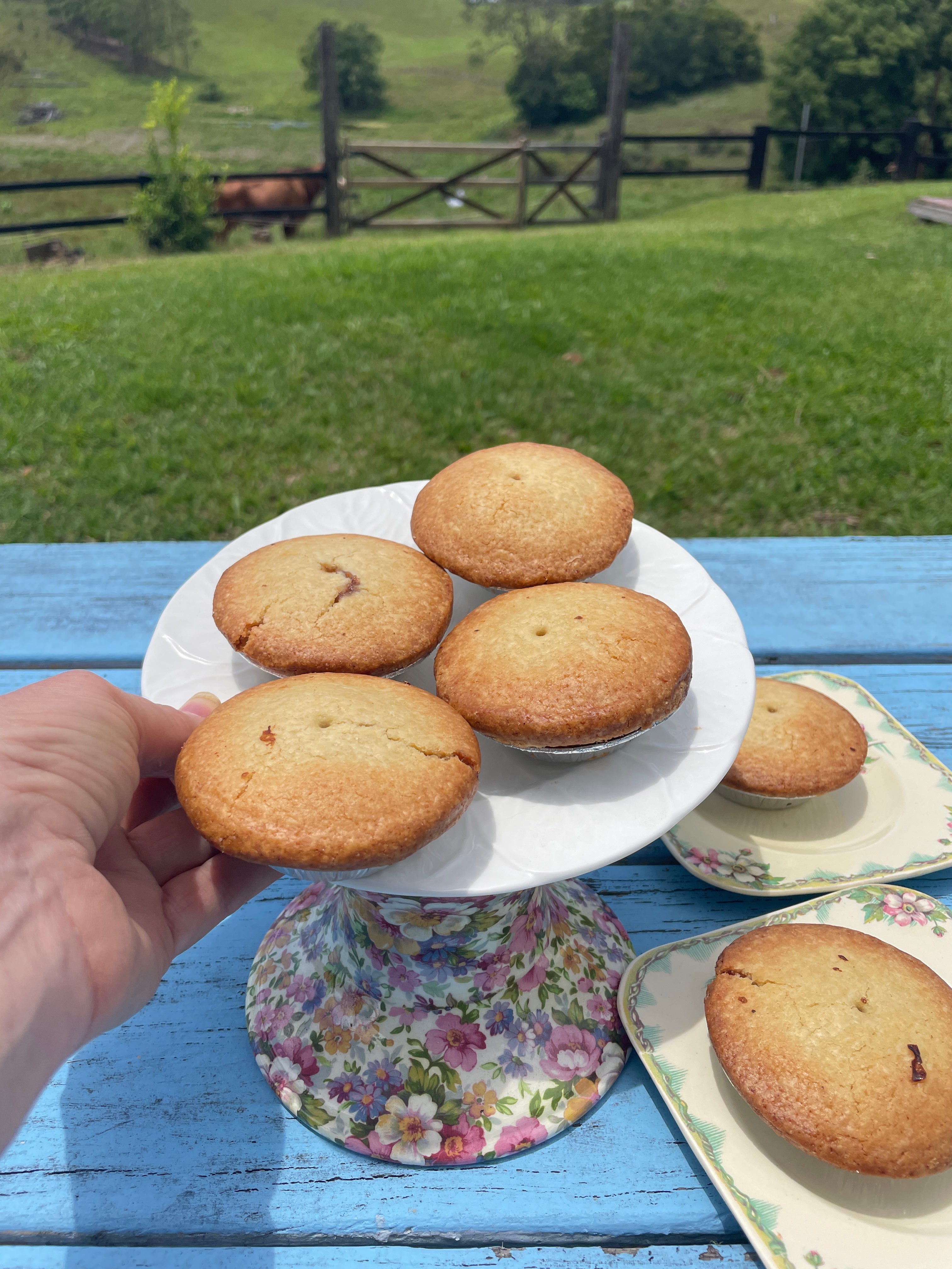 Organic Christmas Mince Tarts Boxed Pack of 6- Bread Social