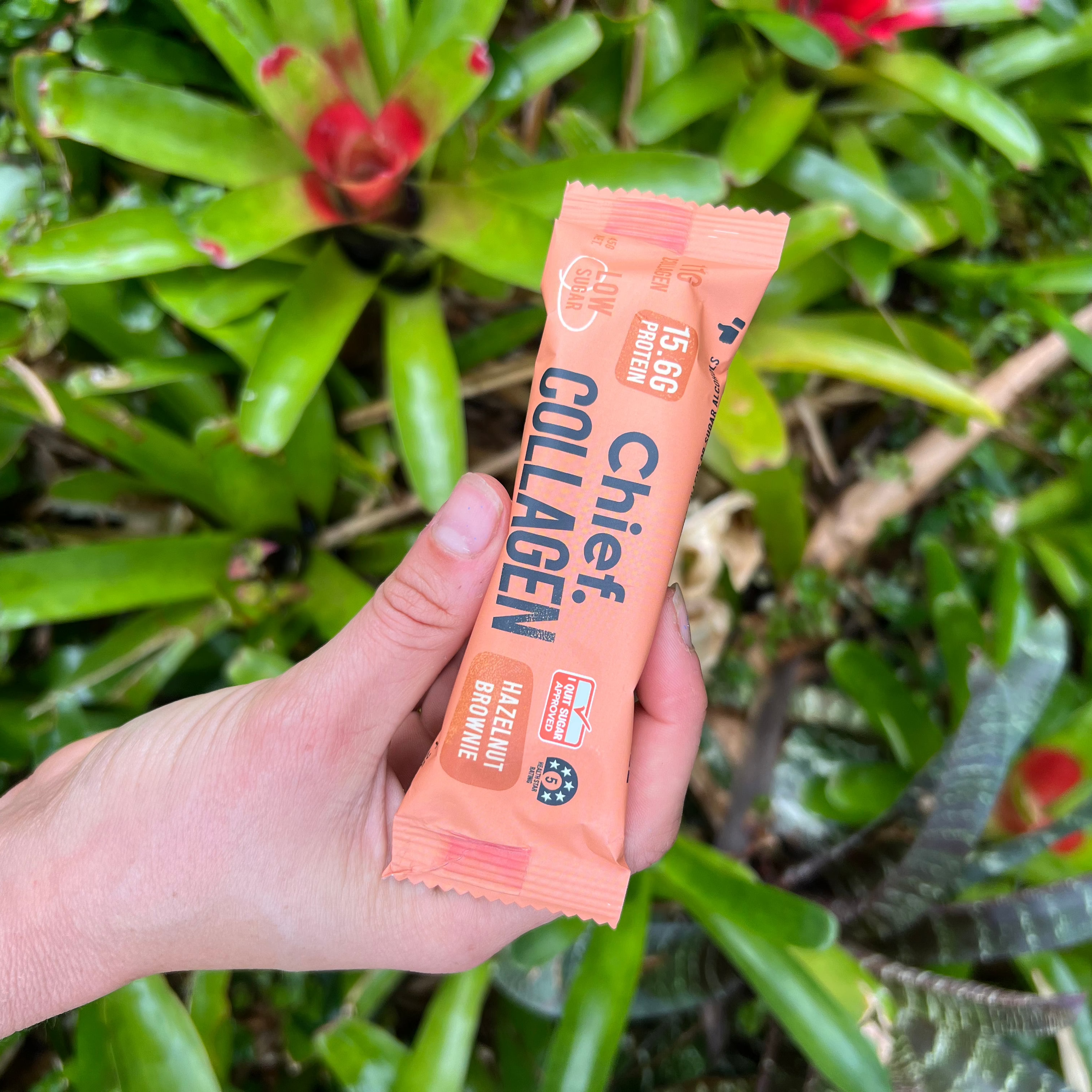 Collagen Protein Hazelnut Brownie Bar 30g - Chief