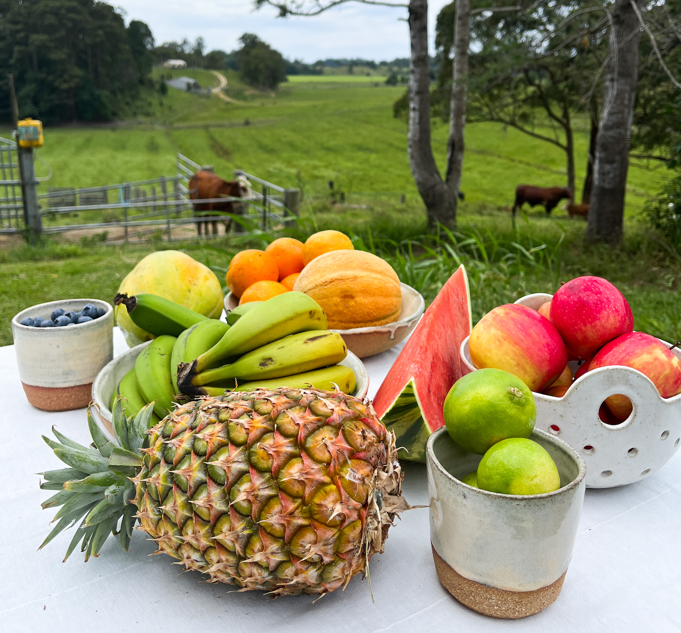 *6. Organic FRUIT Box - Large