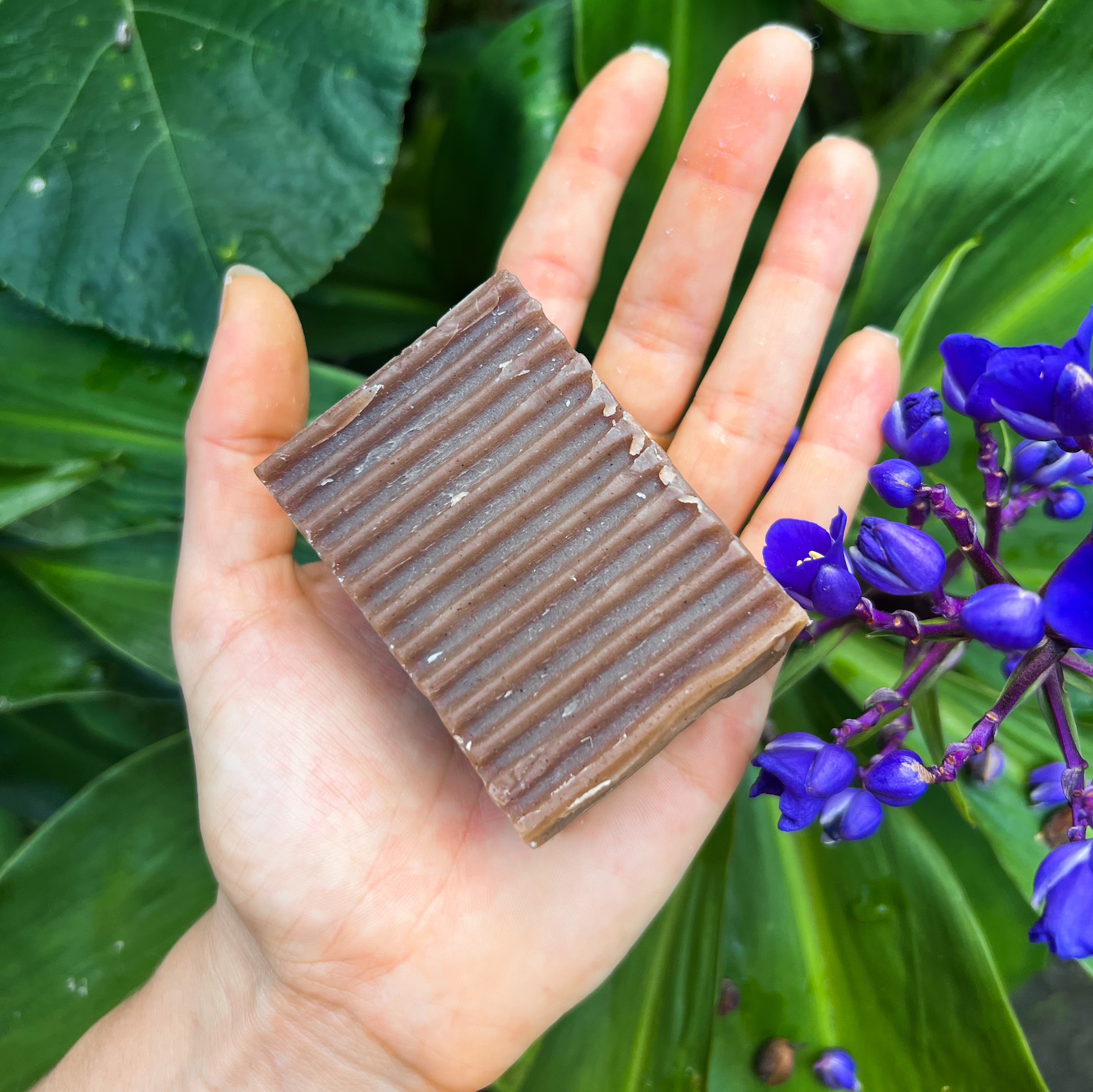 Cinnamon & Cocoa Natural Botanical Soap - Peachie Collective