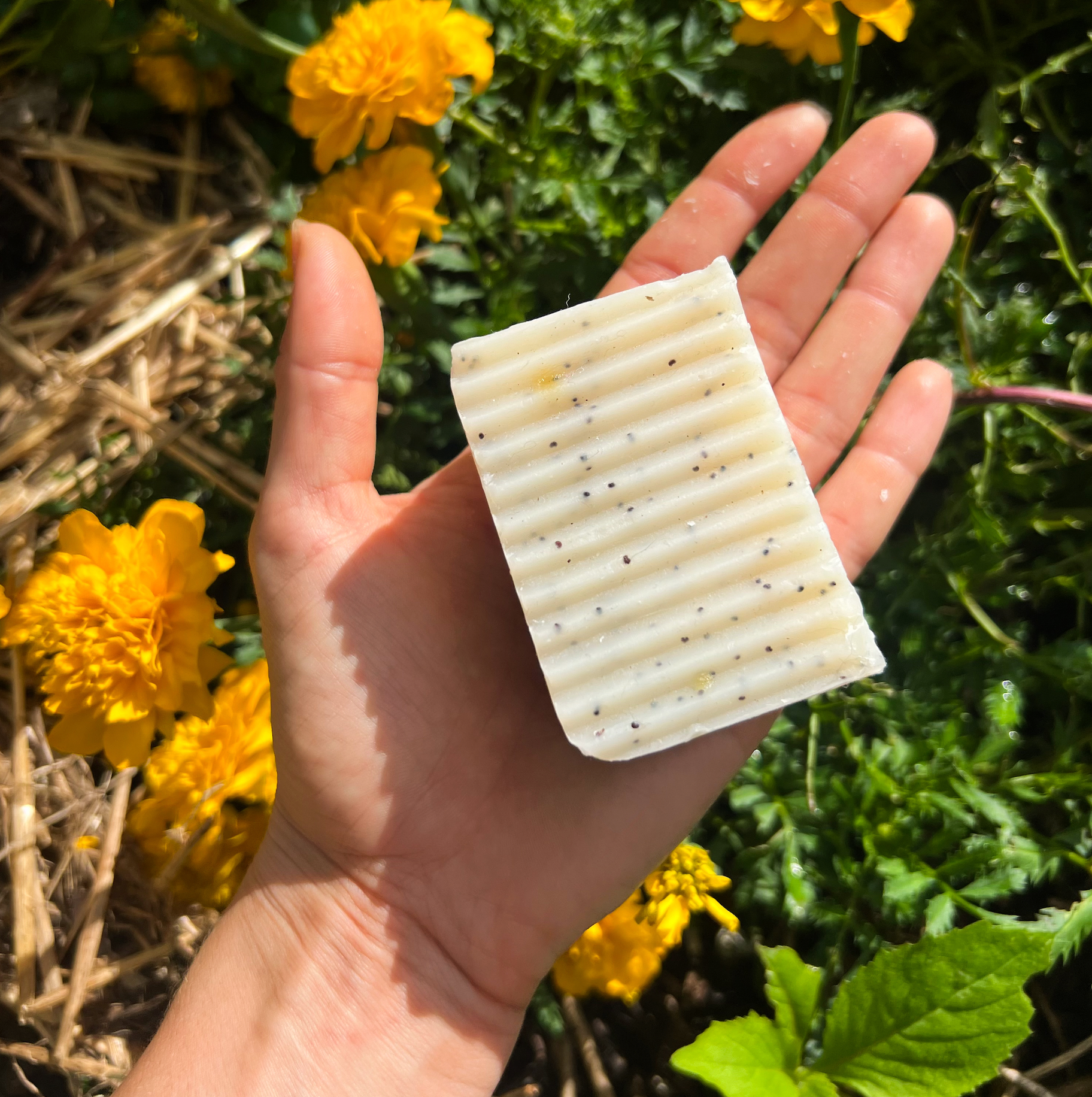 Spearmint & Poppyseed Natural Botanical Soap - Peachie Collective
