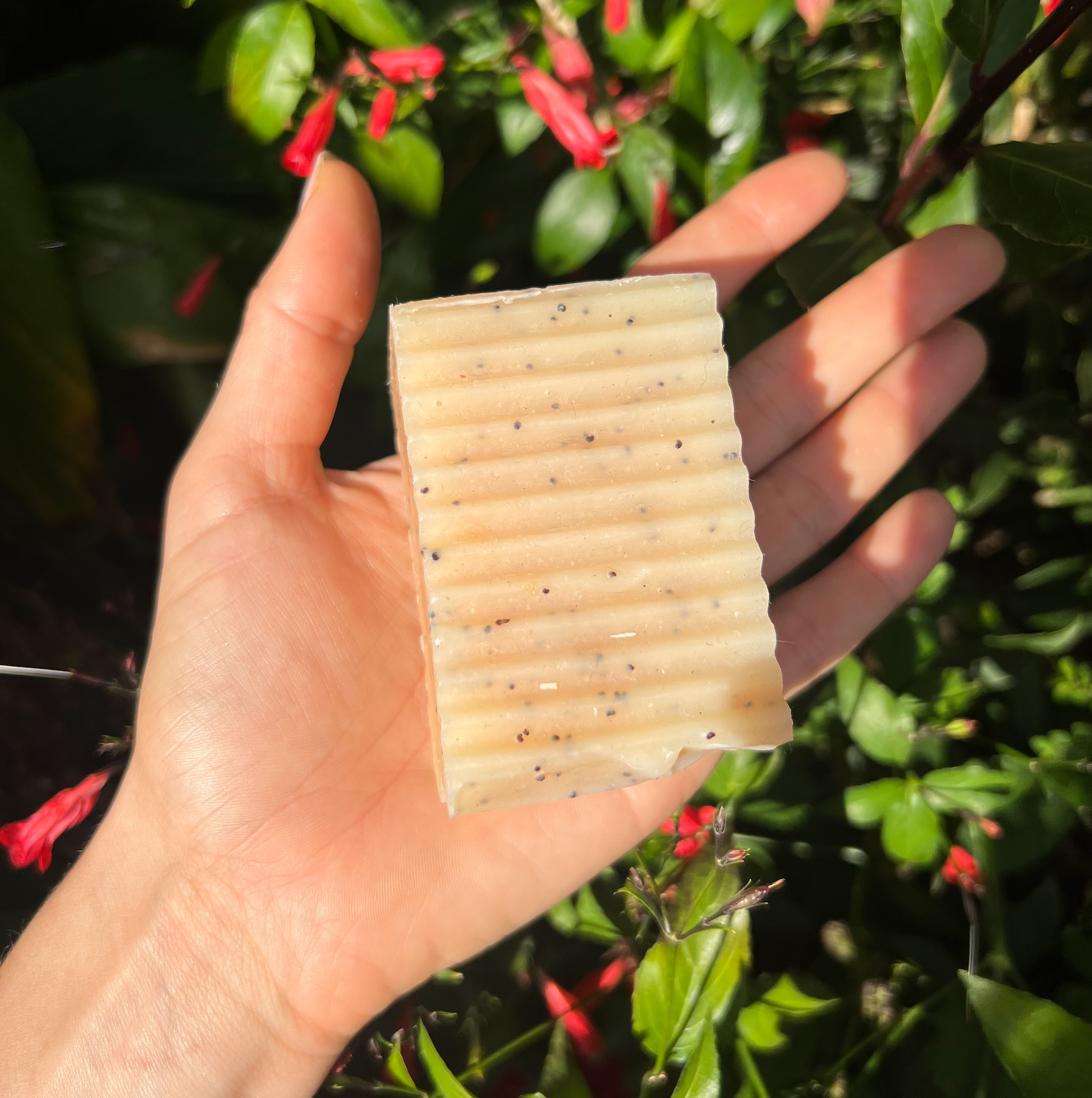 Lemongrass & Poppyseed Natural Botanical Soap