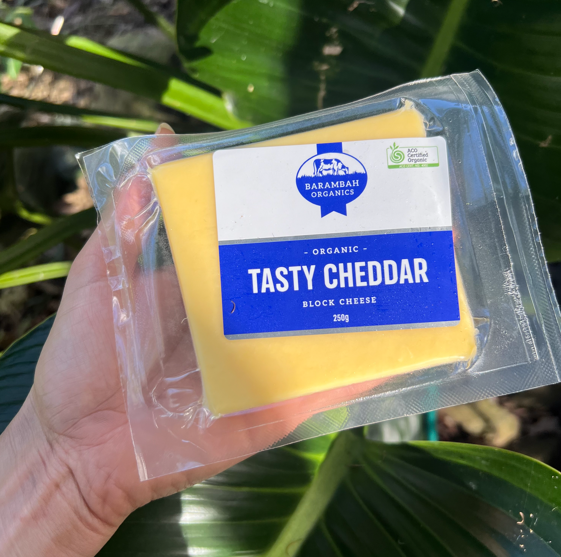Tasty Organic Cheddar - 250g Barambah