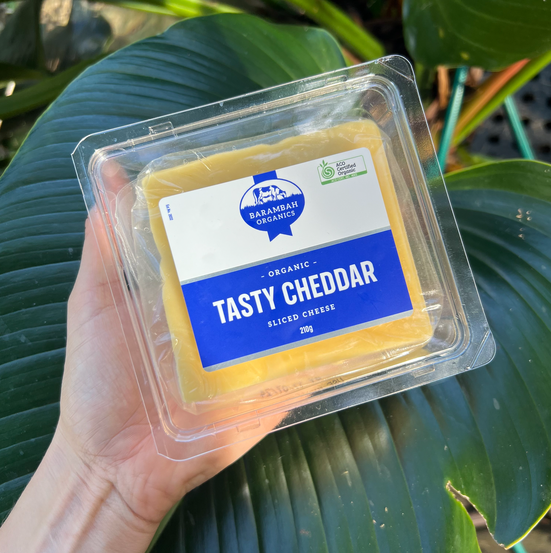Tasty Cheddar SLICED - Organic 210g
