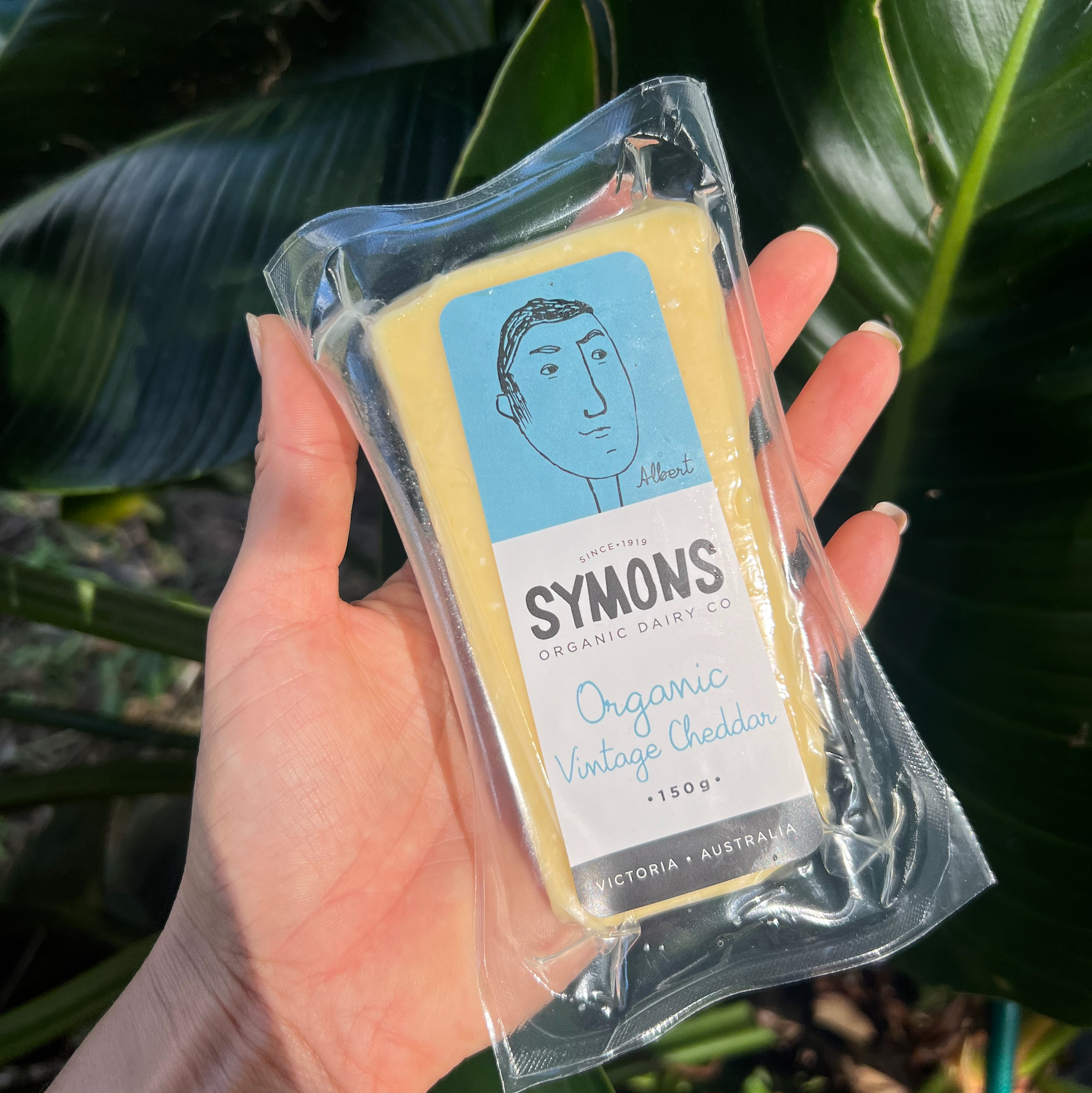 Organic Vintage Cheddar 150G - Symons