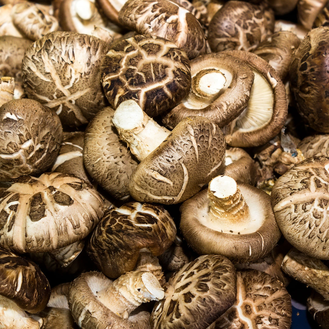 MUSHROOMS SHIITAKE 100G - Certified Organic Mushrooms