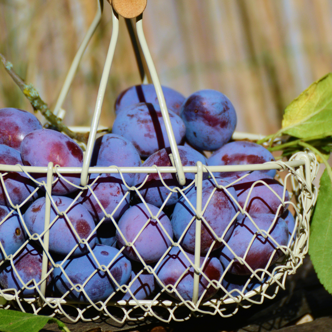 - Plums Sugar - Certified Organic Plums 400g