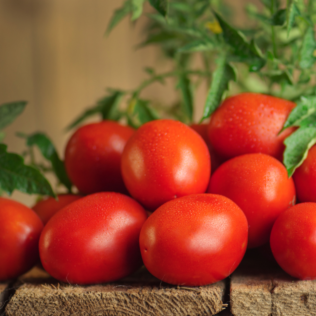 Tomatoes Gourmet - 400 grams organically grown tomatoes