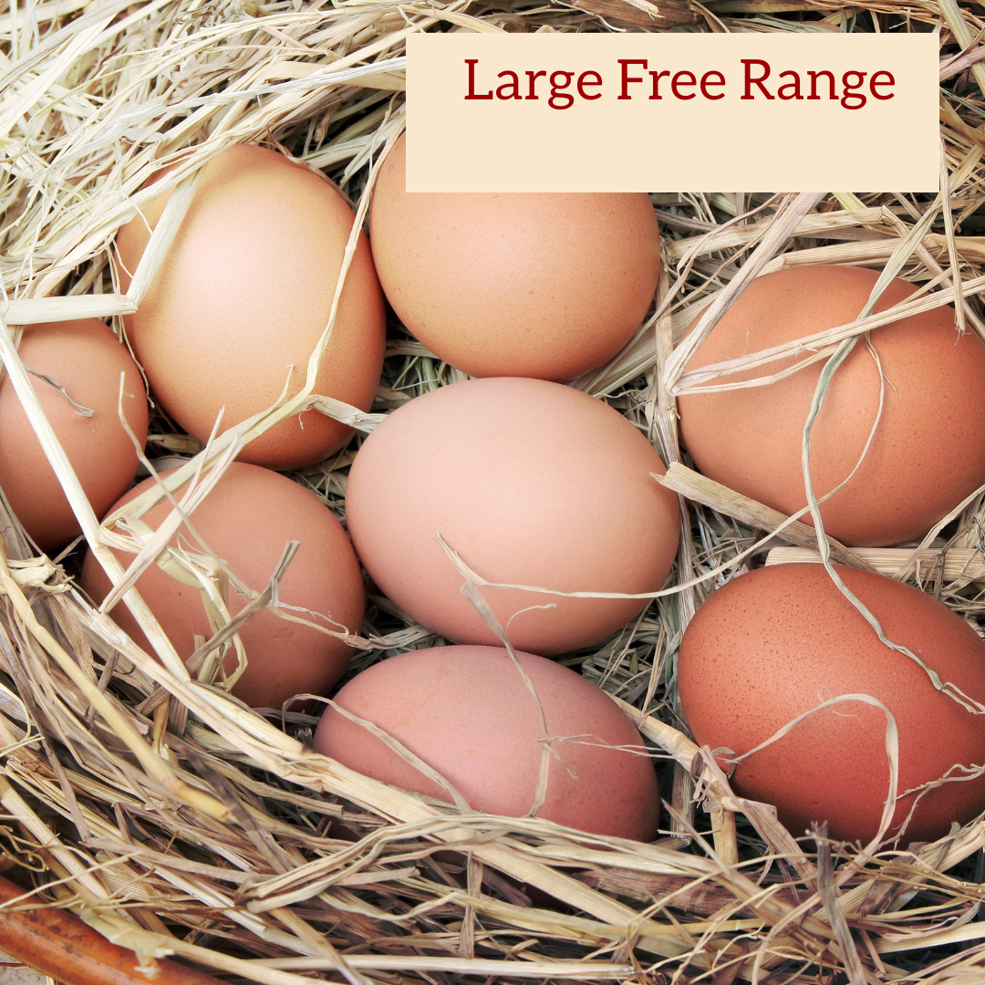 Free Range Eggs Large 600g - Knotsbury Farms