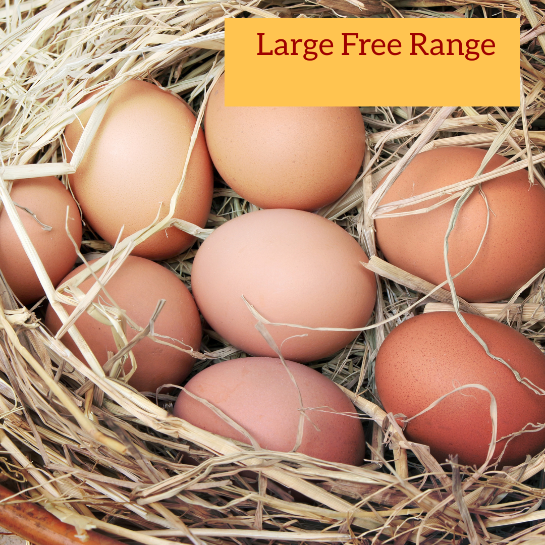 Free Range Eggs Large 600g - Knotsbury Farm
