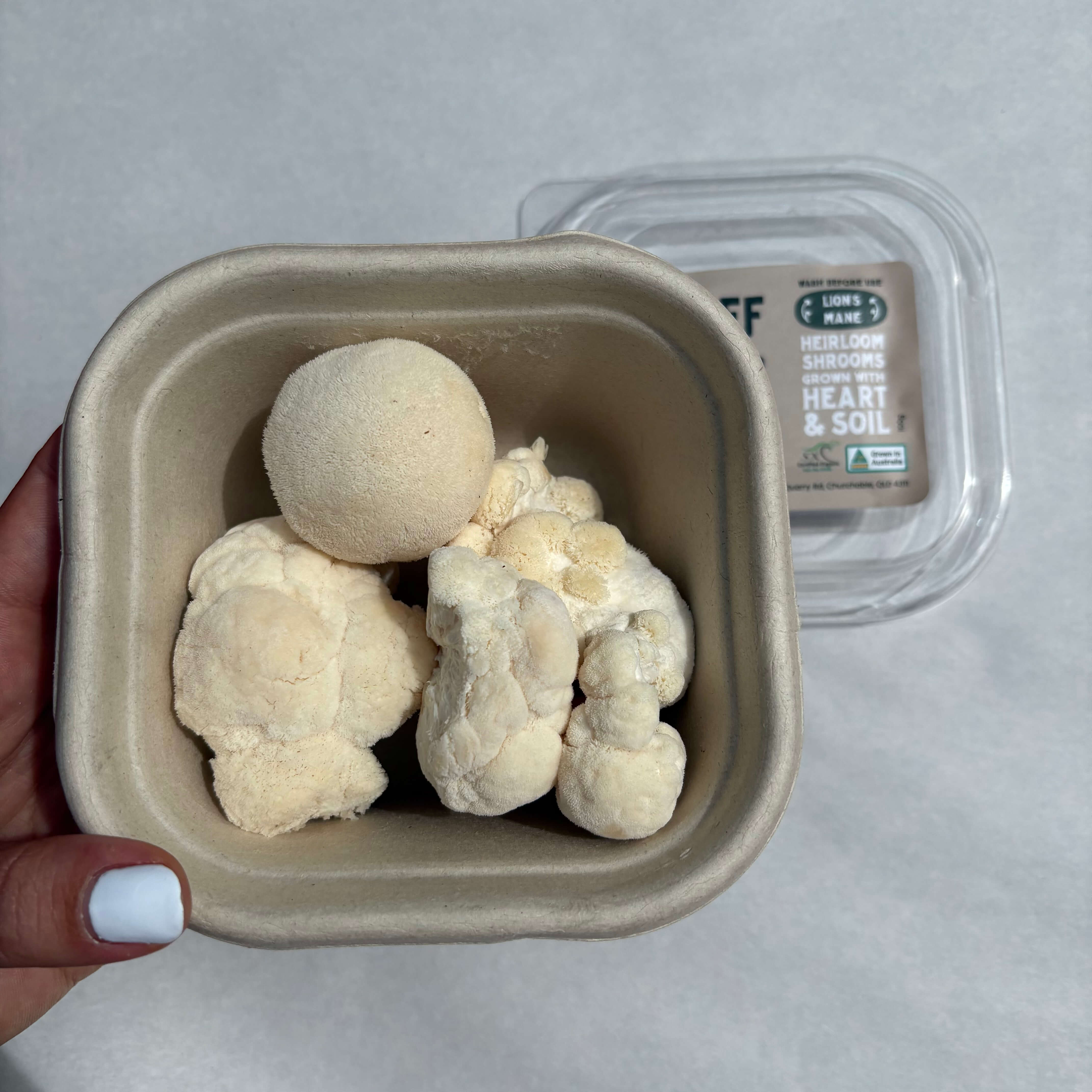 Mushrooms Organic Lions Mane 100g - Heirloom Variety