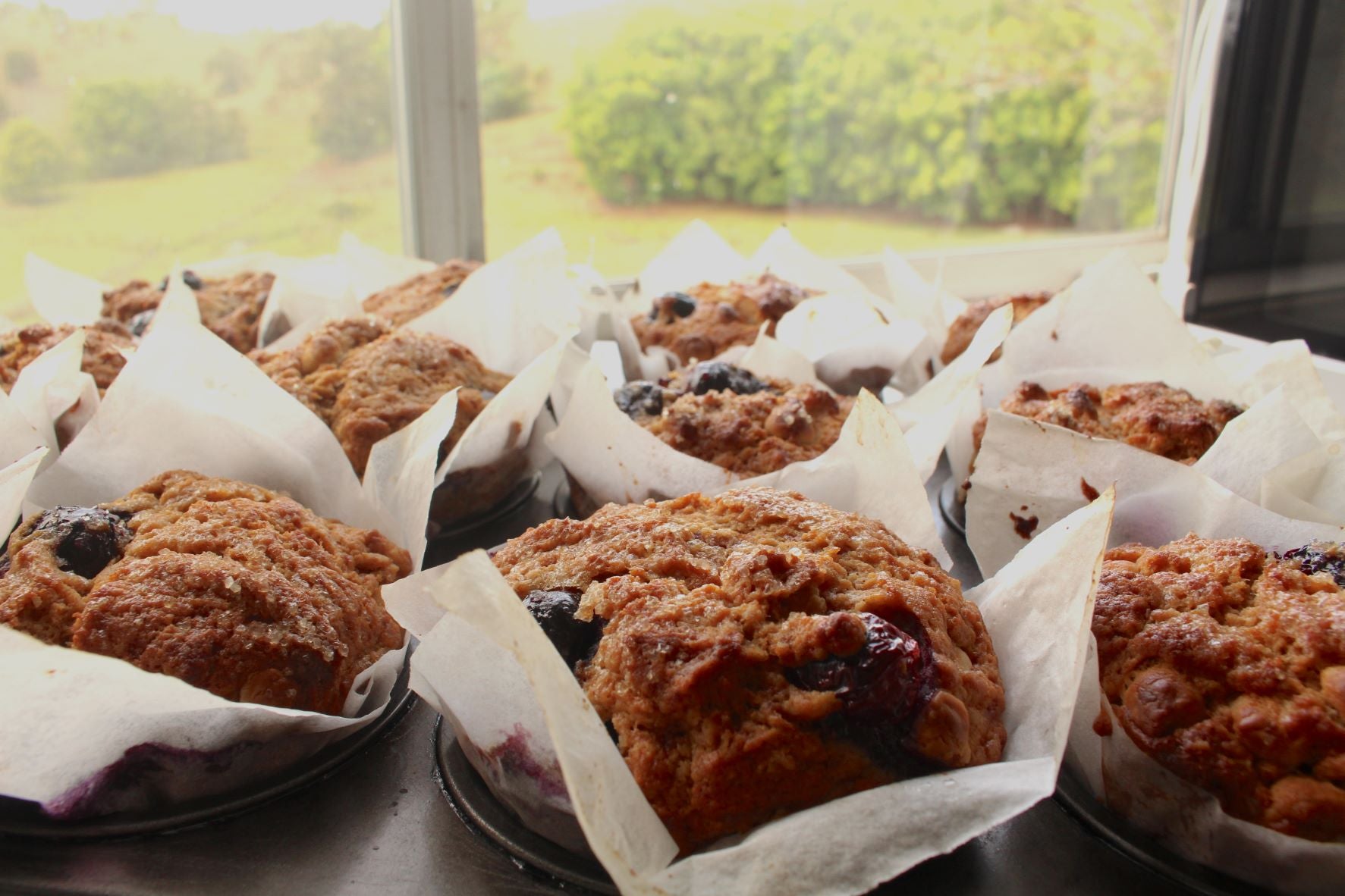 Organic Dark Chocolate Chips 250g - 55%