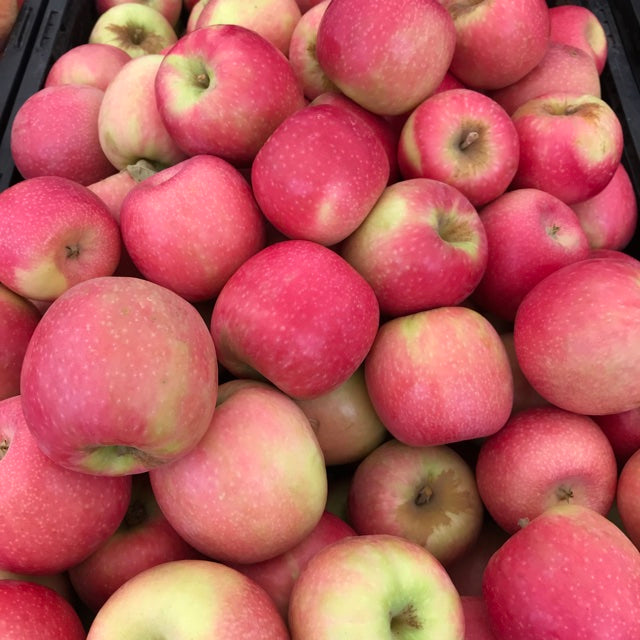 - Apples Pink Ladies  - Certified Organic Red Apples 1KG