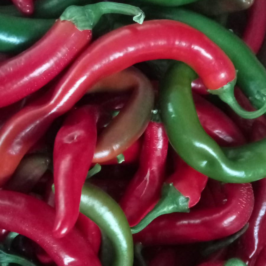 Chillies GREEN 90g - Certified Organic Chillies