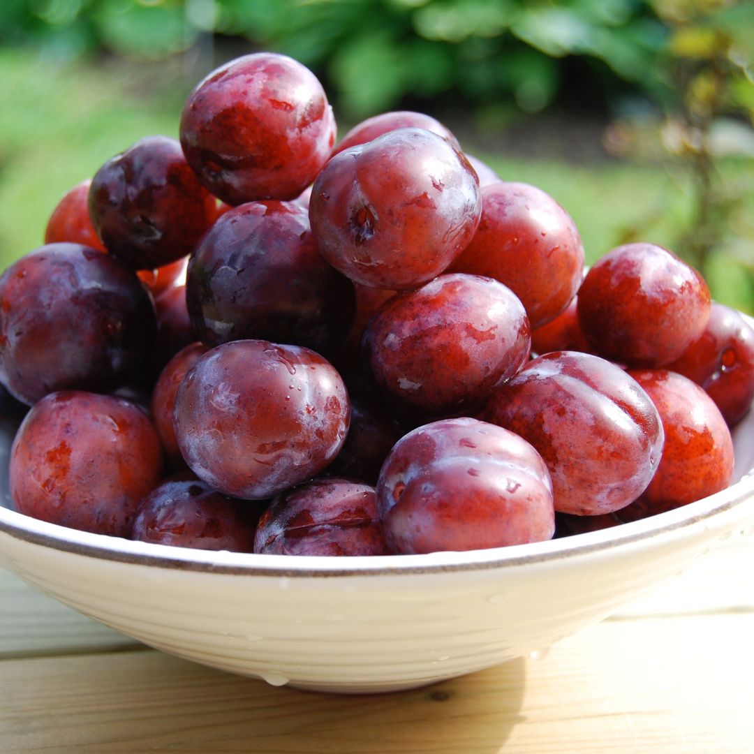 - Plums Sugar - Certified Organic Plums 400g
