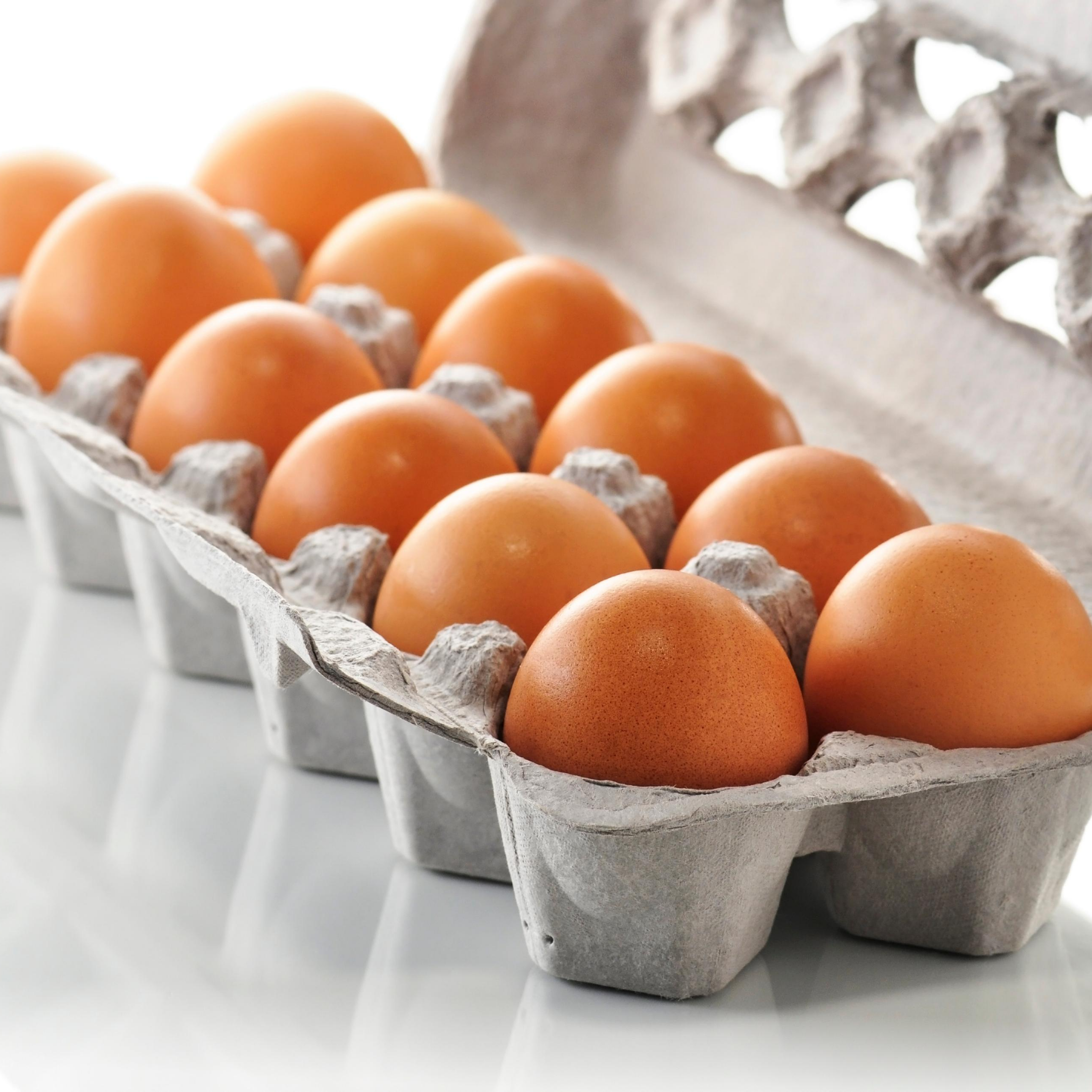 Organic Eggs 700g – Certified Organic Eggs