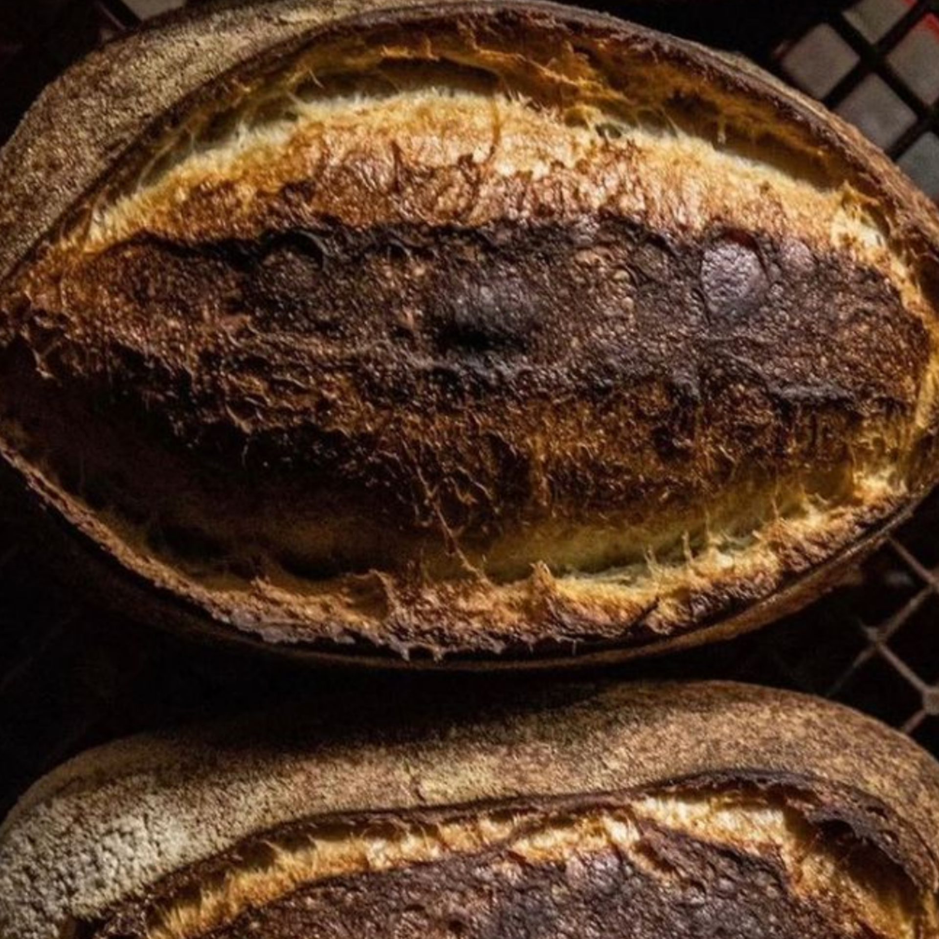 Bread Social Sourdough Loaves