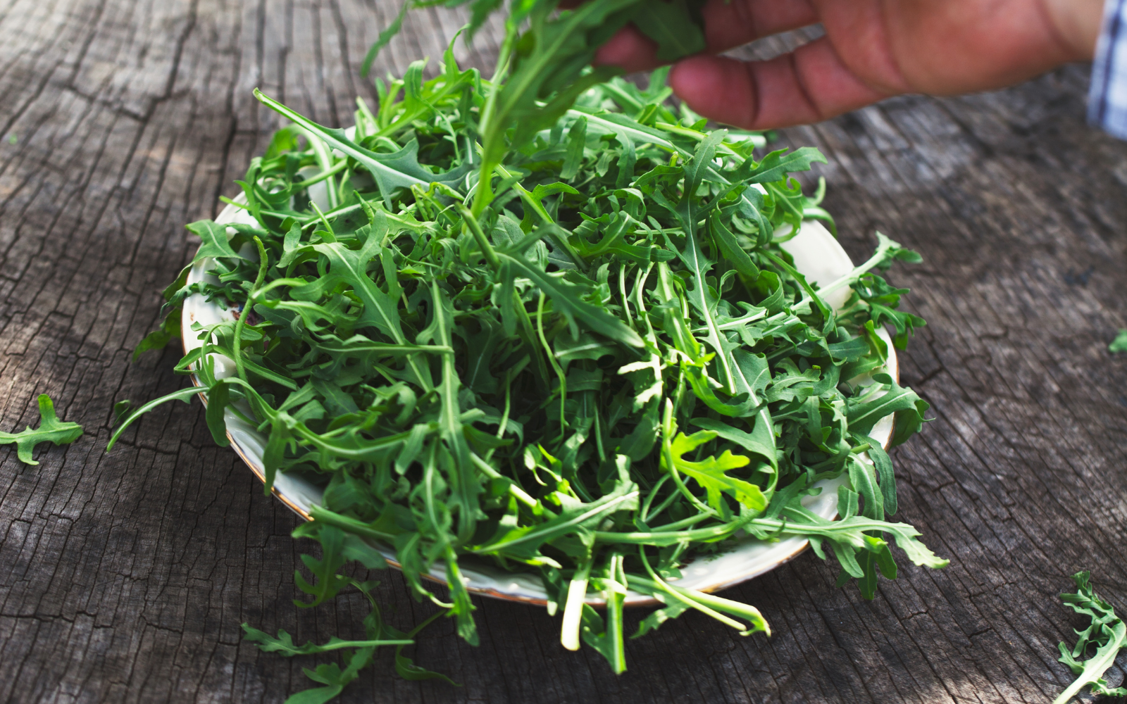 Rocket Wild Baby - Rocket 100g Certified Organic