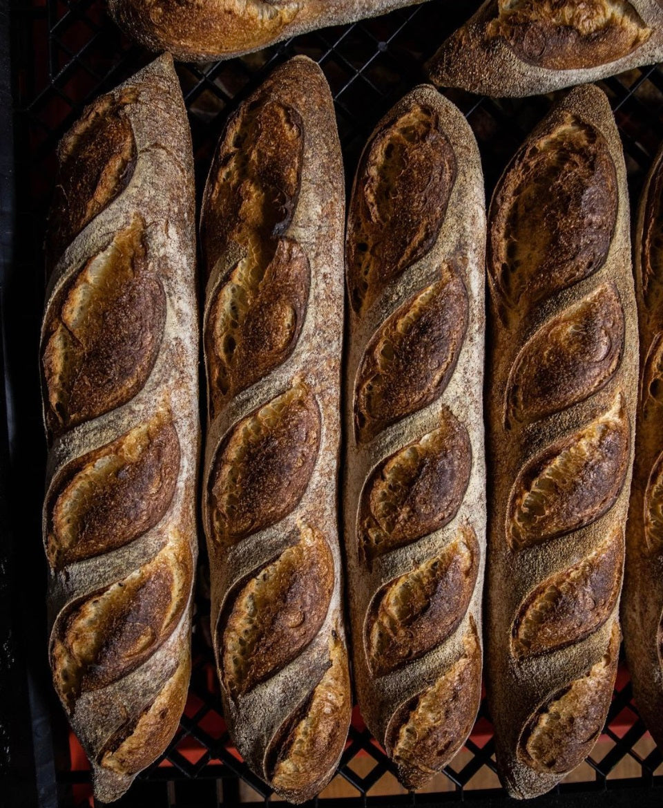 Baguette Bread Social Semi Sourdough