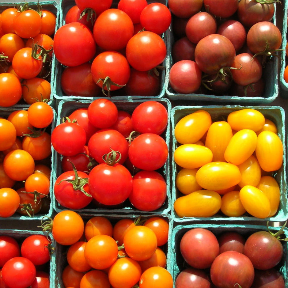 Tomatoes Cherry - Organically Grown Cherry Tomatoes