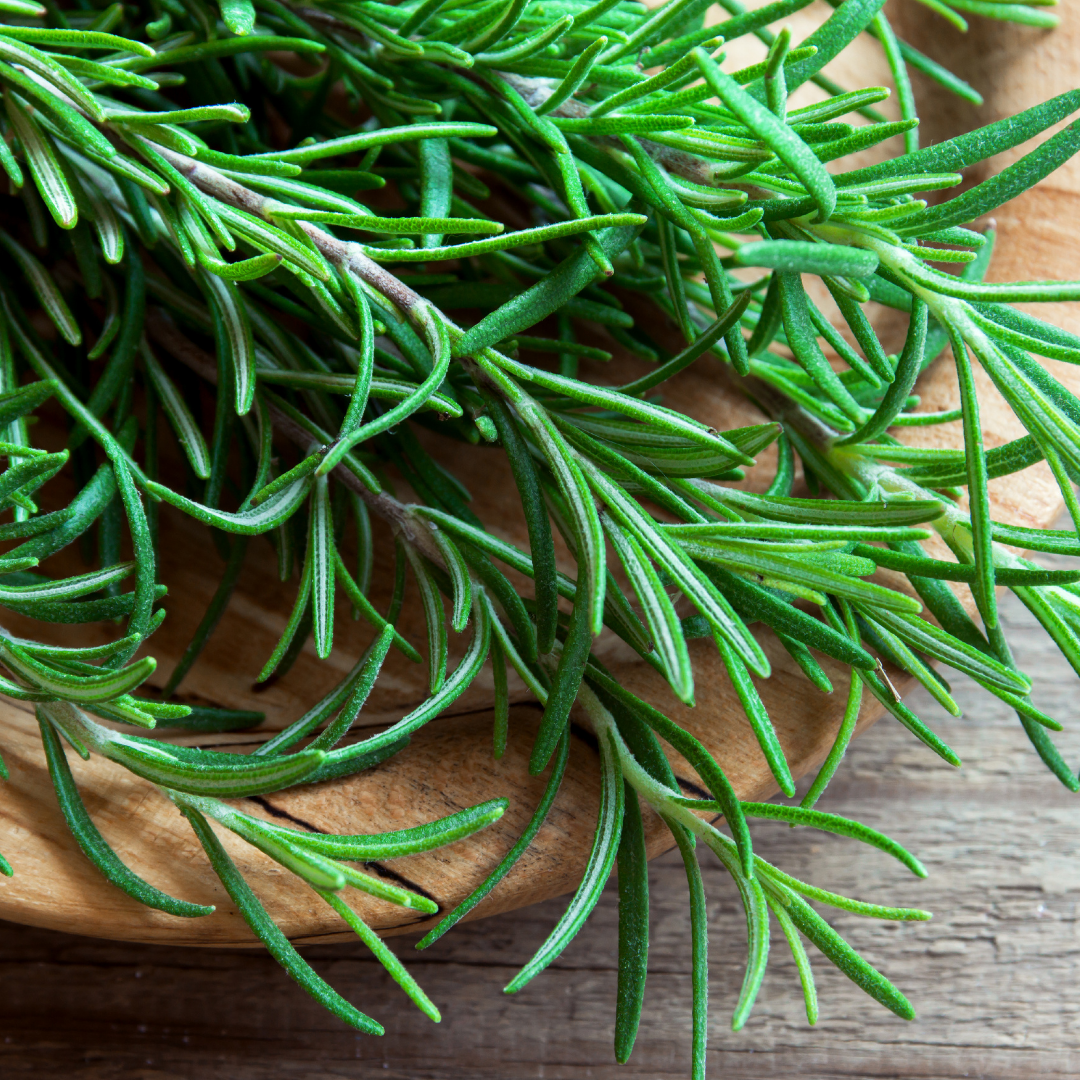 Herbs Rosemary - Certified Organic Rosemary