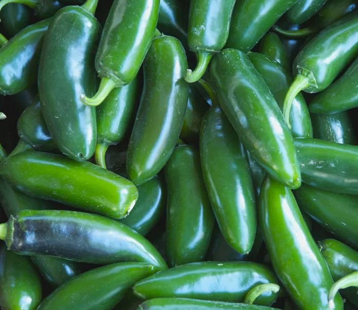 Chillies Jalapeño Mixed 100g - Certified Organic Jalapeño Peppers