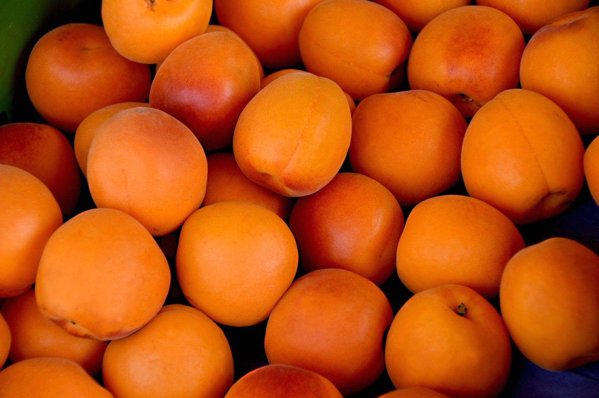 - Apricots 300g - Certified Organic Apricots