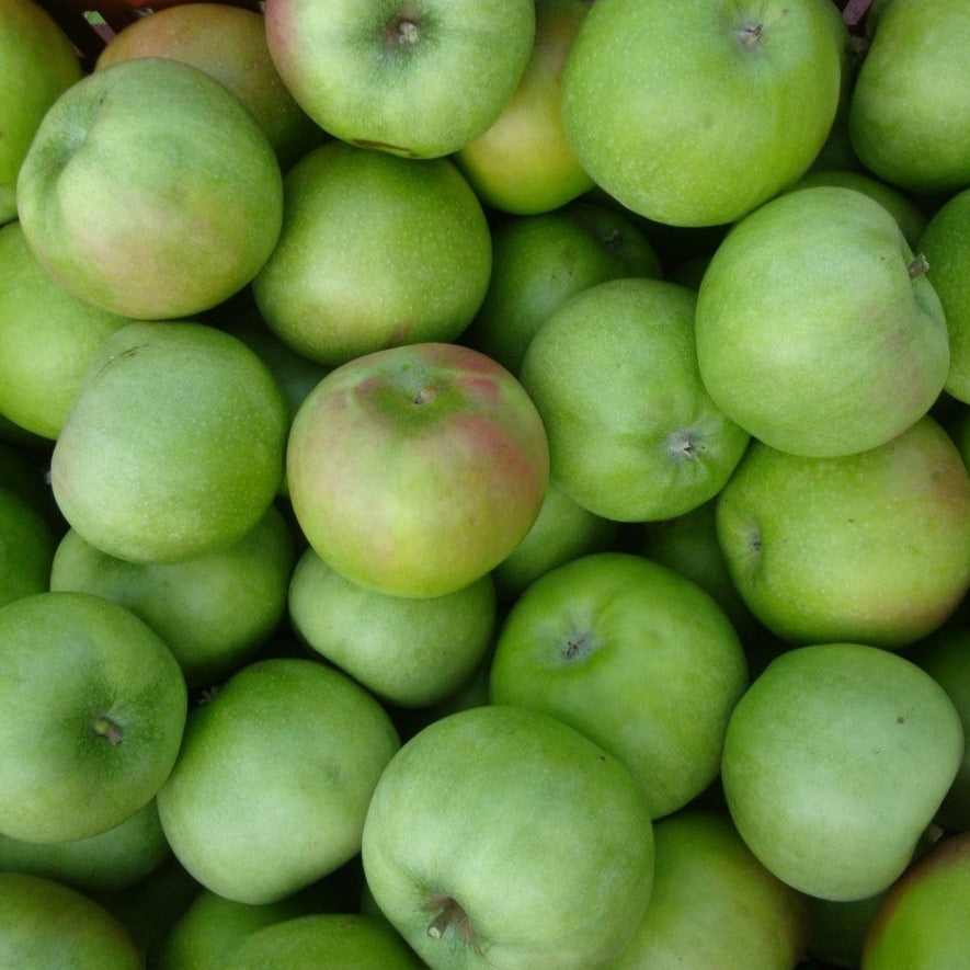 - Apples Green Imperfects -  Certified Organic Granny Smiths- 500g