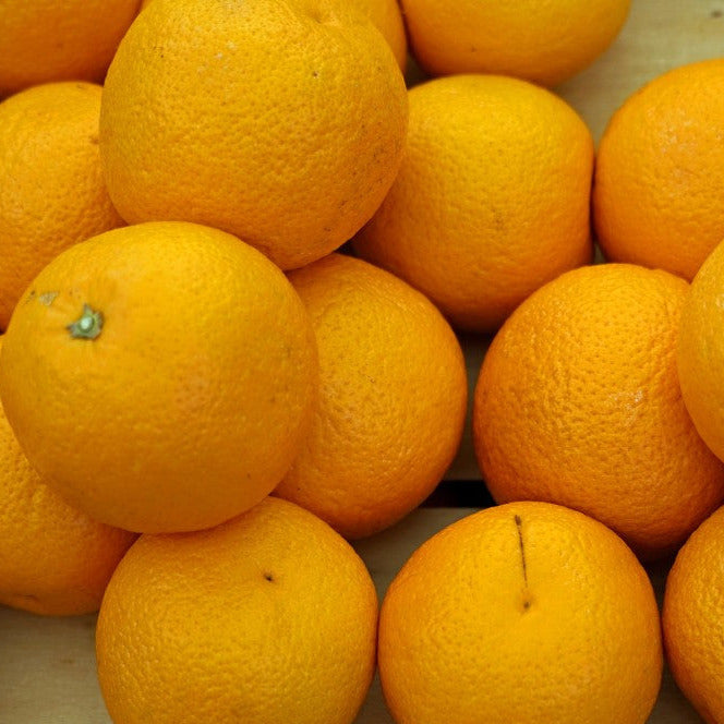 - Oranges JUICING 1KG - Certified Organic Oranges
