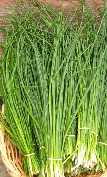 Herb Garlic Chives Small Bunch- Certified Organic Garlic Chives