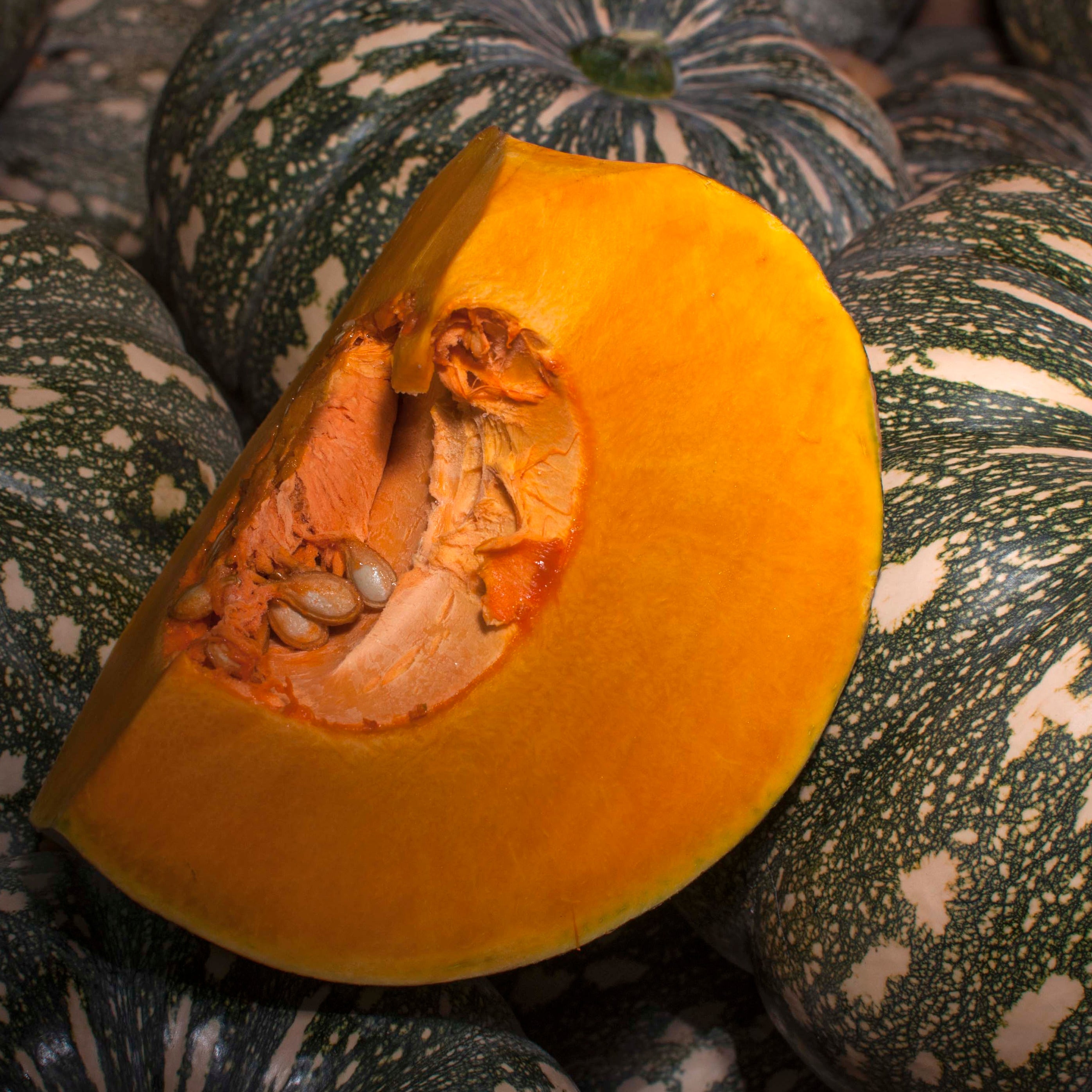Pumpkin Kent (Japanese) approx 750g - Certified Organic Pumpkin