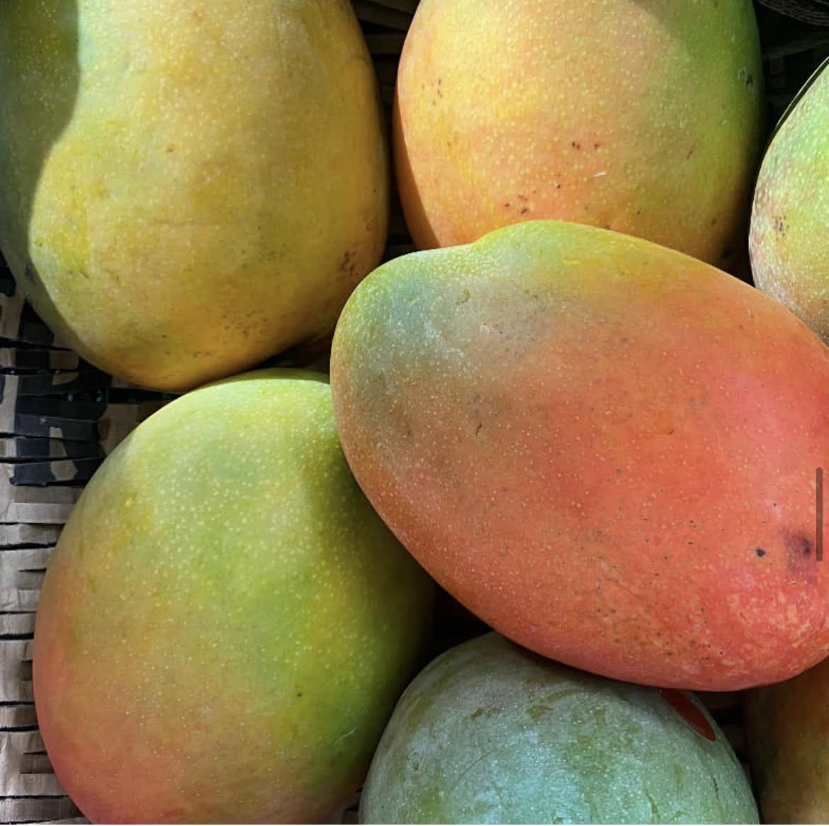 - Mango x1- Certified Organic KP Mango