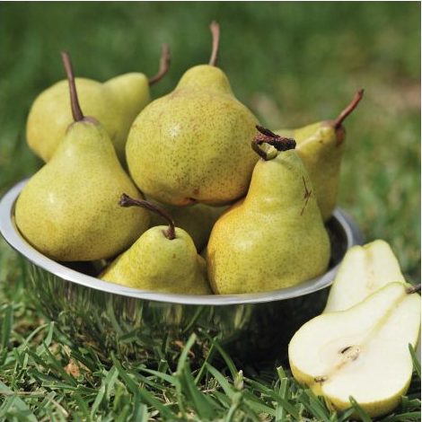 - Pears Certified Organic 500g