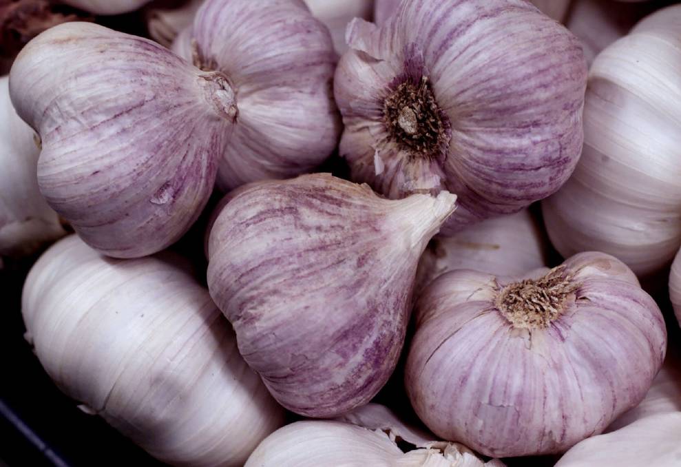 Garlic Italian SPECIAL 100g - Certfied Organic Garlic