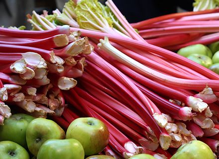 - Rhubarb & Apple 1kg *GROWERS SPECIAL* - Australian Certified Organic Rhubarb