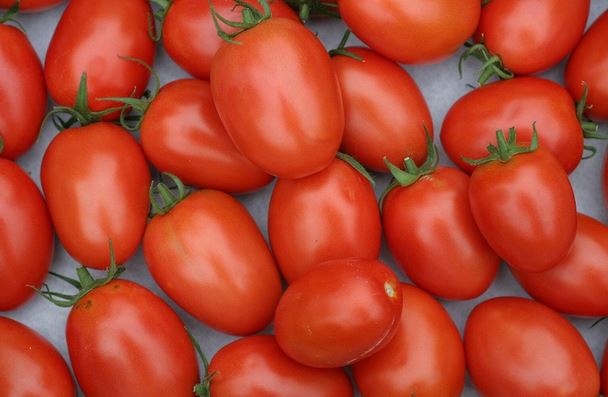 Tomatoes Gourmet Approx 500g  - Organically Grown Tomatoes