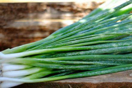 Shallots Bunch of Organic Shallots - Certified Organic Shallots