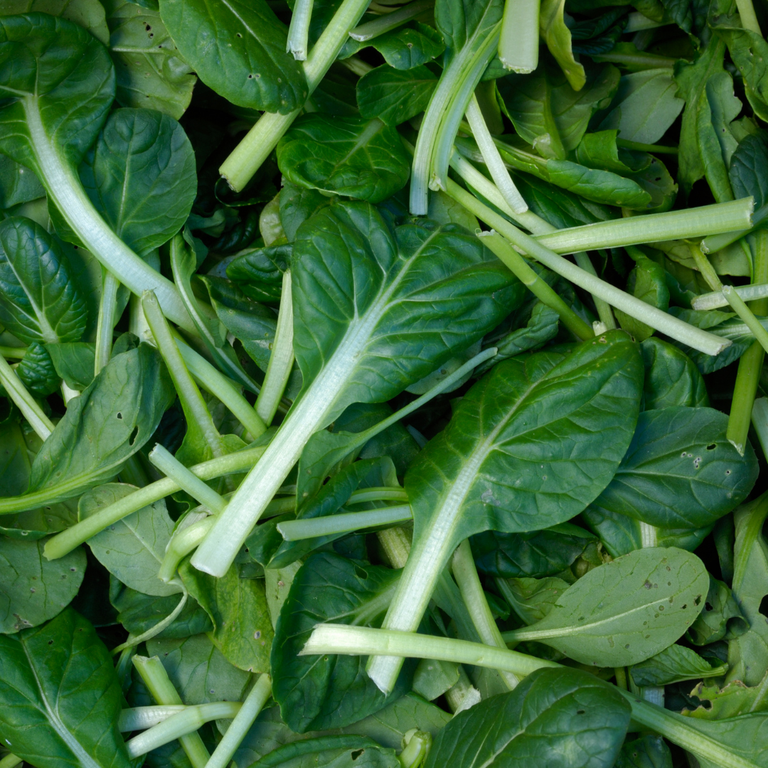 Tatsoi Asian Greens - Organically Grown Asian Greens