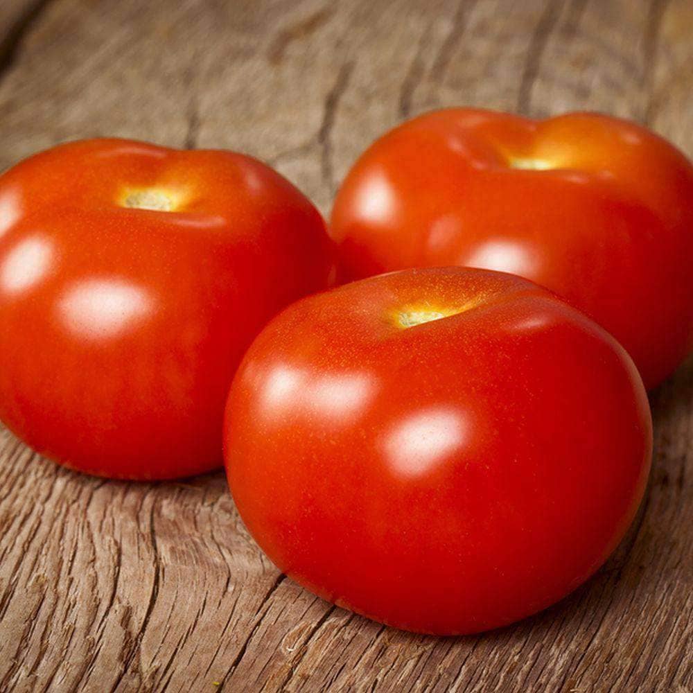 Tomatoes Gourmet Approx 500g  - Organically Grown Tomatoes