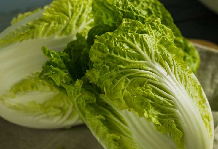 Cabbage Wombok Whole NEW- Organically Grown Wombok Cabbage