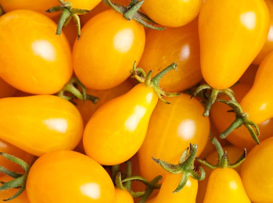 Tomatoes - Cherry 250g  - Organically Grown Cherry Tomatoes