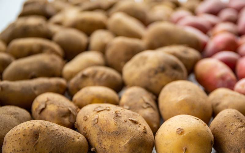 The Best  Potatoes to Roast, Mash & Smash