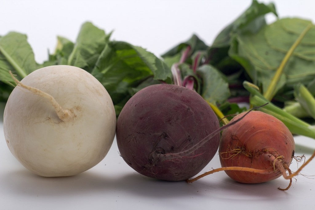 turnip organic