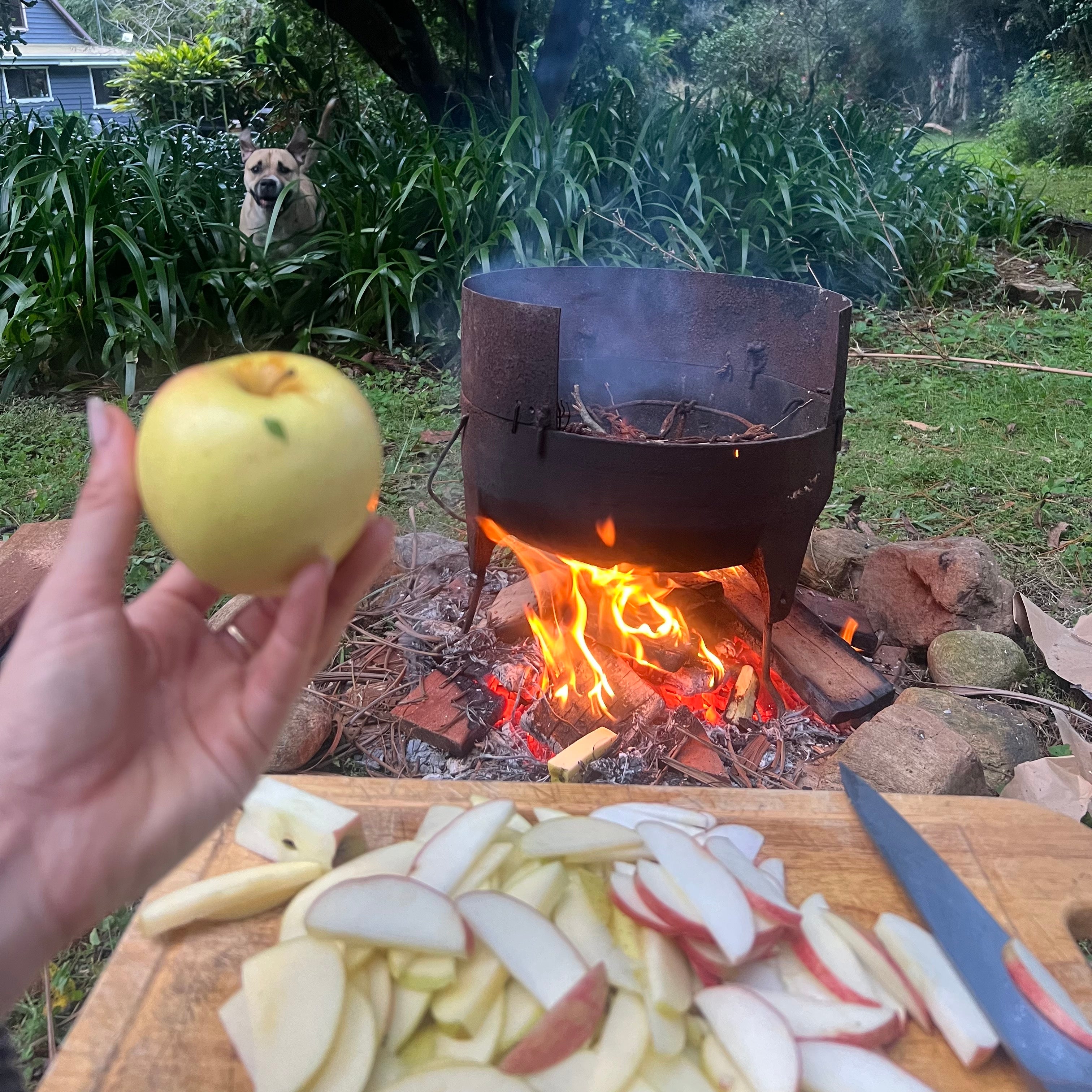 Organic Apple & Tart-Cherry Crumble